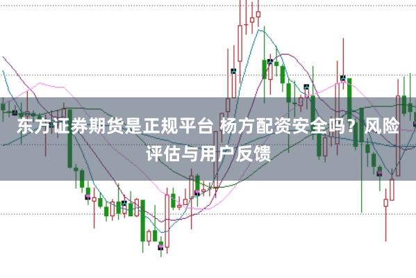 东方证券期货是正规平台 杨方配资安全吗？风险评估与用户反馈