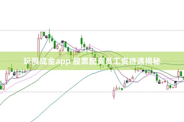玩股成金app 股票配资员工资待遇揭秘