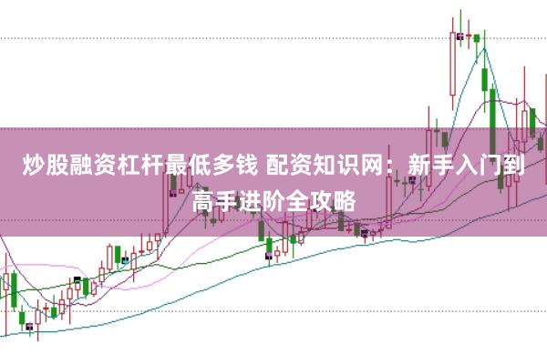 炒股融资杠杆最低多钱 配资知识网：新手入门到高手进阶全攻略