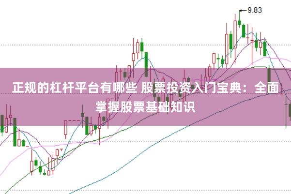 正规的杠杆平台有哪些 股票投资入门宝典：全面掌握股票基础知识