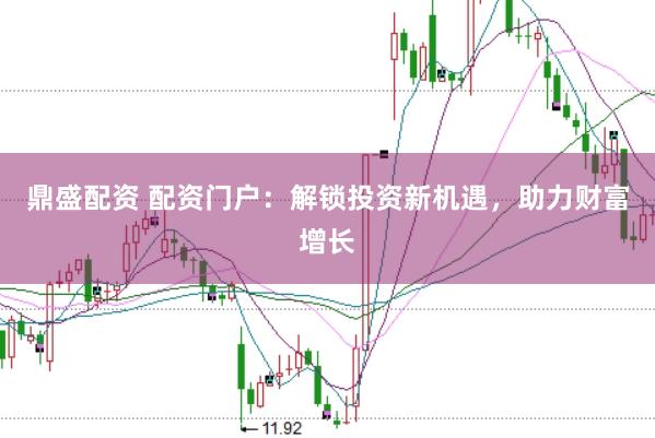 鼎盛配资 配资门户：解锁投资新机遇，助力财富增长