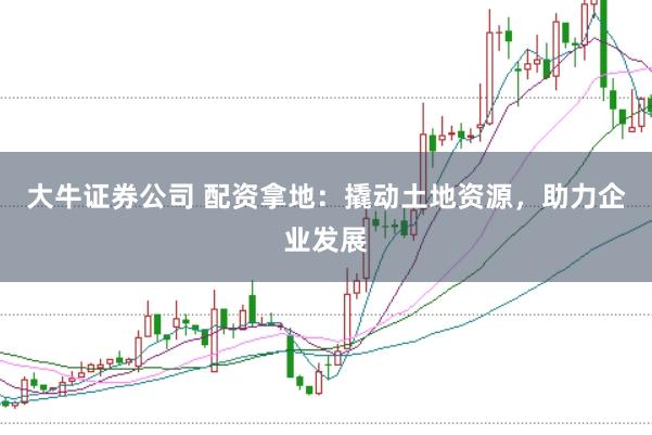 大牛证券公司 配资拿地：撬动土地资源，助力企业发展
