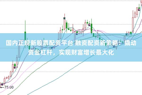 国内正规新股票配资平台 融资配资新策略：撬动资金杠杆，实现财富增长最大化