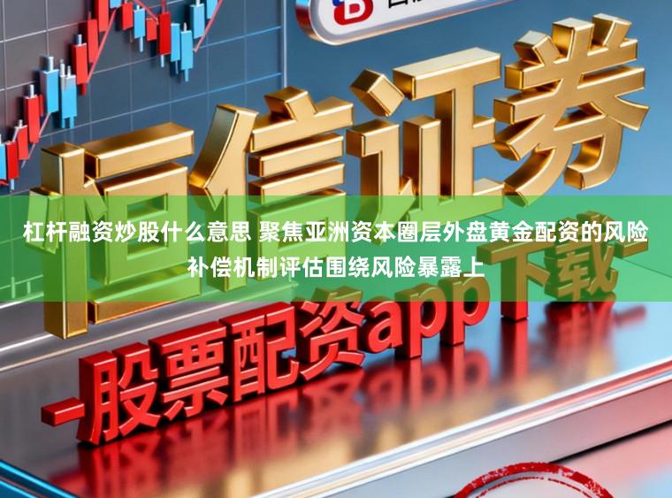 杠杆融资炒股什么意思 聚焦亚洲资本圈层外盘黄金配资的风险补偿机制评估围绕风险暴露上