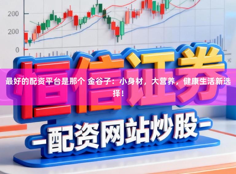 最好的配资平台是那个 金谷子：小身材，大营养，健康生活新选择！